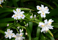 IMG3428.jpg