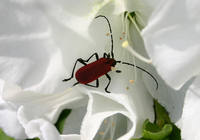 IMG3457.jpg