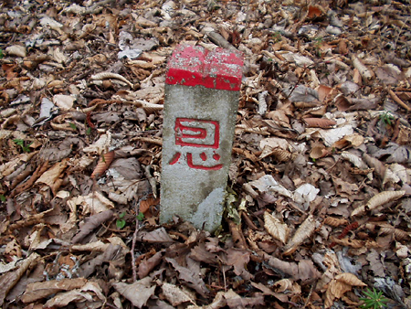 jukai023.jpg