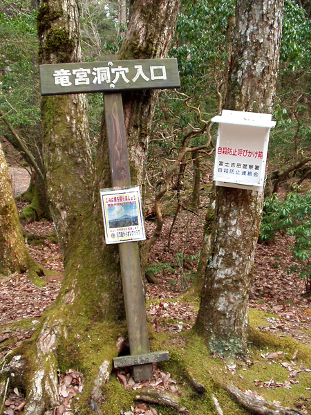 jukai030.jpg