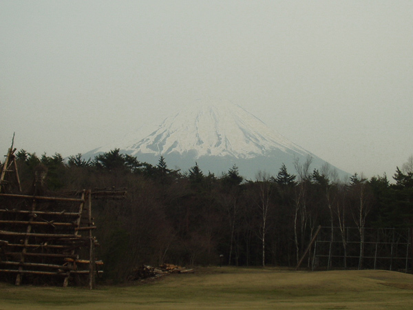 jukai040.jpg