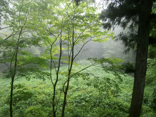miyama01.jpg