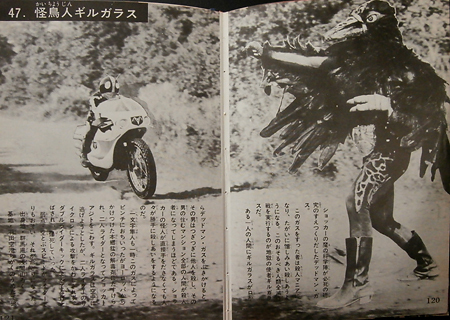 rider45_gaho22.jpg