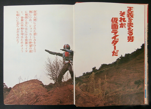 rider45_zukan02.jpg