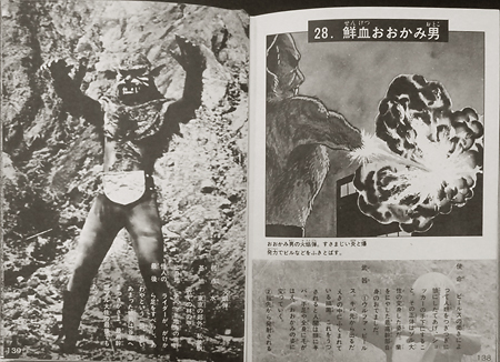 rider45_zukan17.jpg
